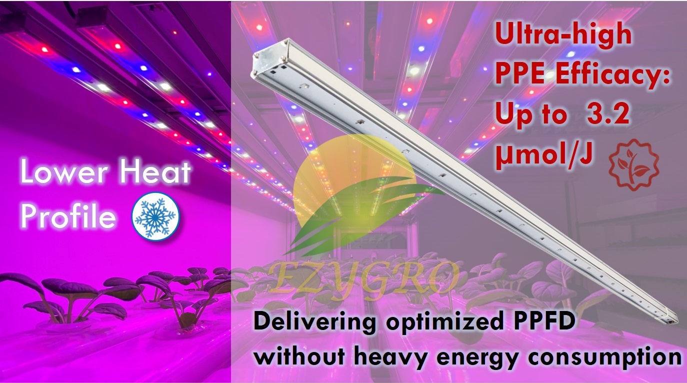 ezygro 5 generation LED grow light